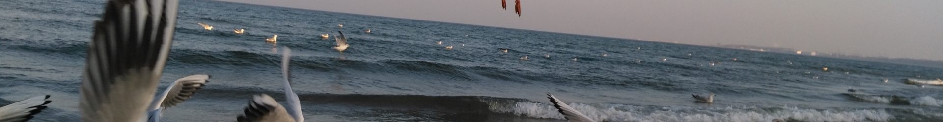 List do Ministra Środowiska ws. ograniczenia opakowań