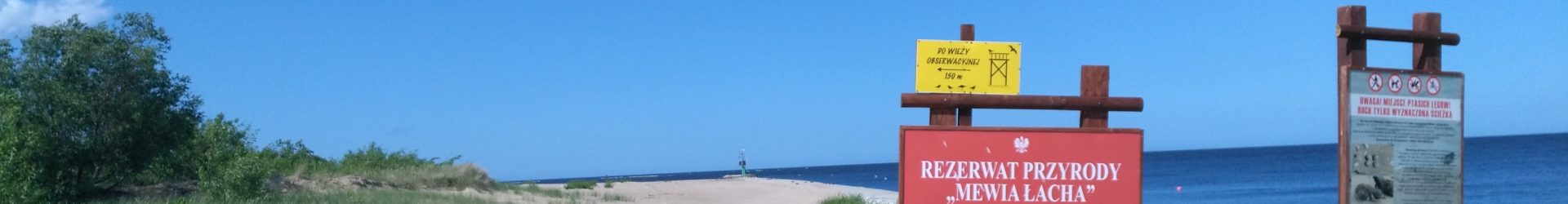 Przeciwdziałanie płoszeniu ptaków i ssaków morskich w rezerwacie Mewia Łacha
