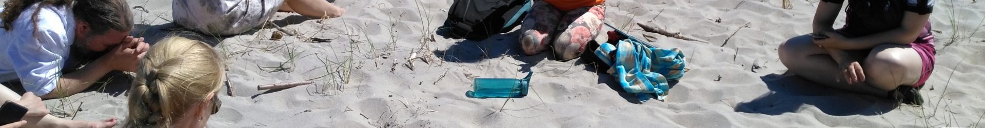 Wykład o zanieczyszczeniu środowiska morskiego […] Irmina Plichta